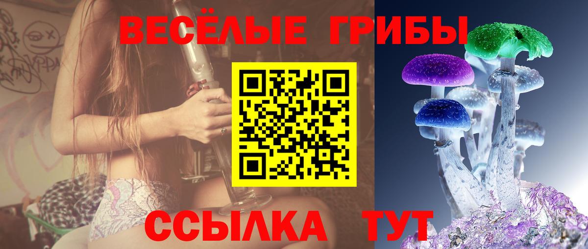 Псилоцибиновые грибы MAGIC MUSHROOMS  Галлюциногенные грибы Cubensis  Анапа  Вход с VPN 